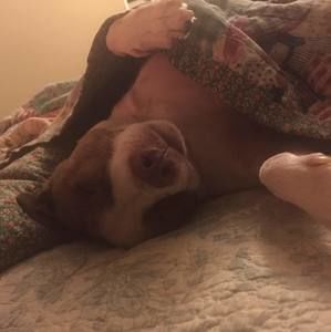 Meet your Posher, Christopher